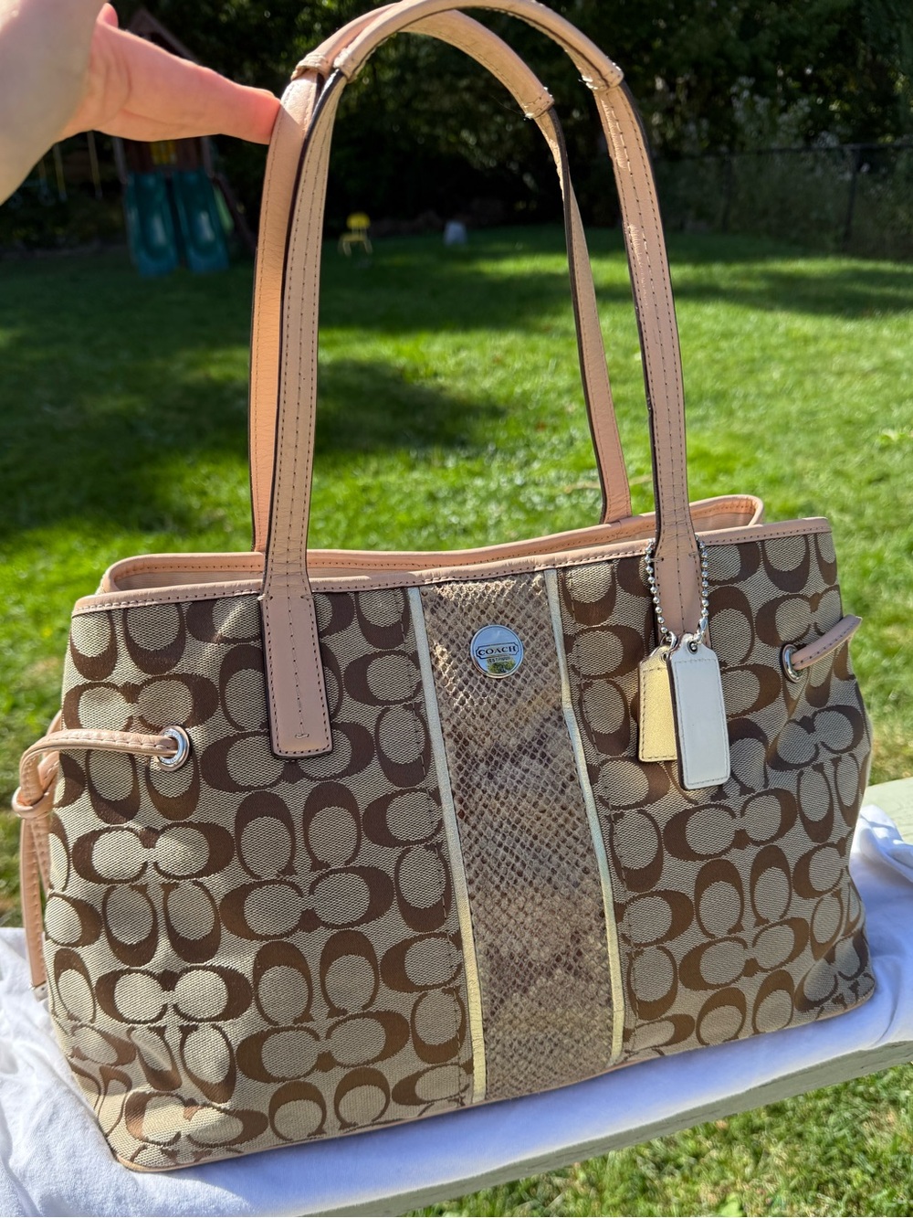 Coach Signature Stripe Python Carryall Tote Bag